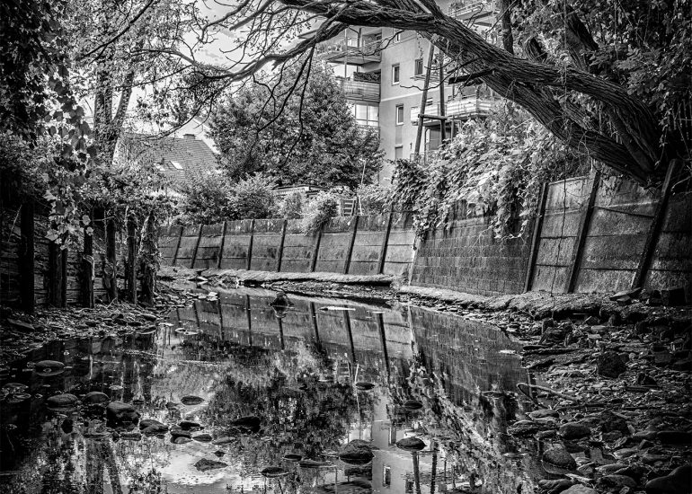 Idylle mitten in der Stadt