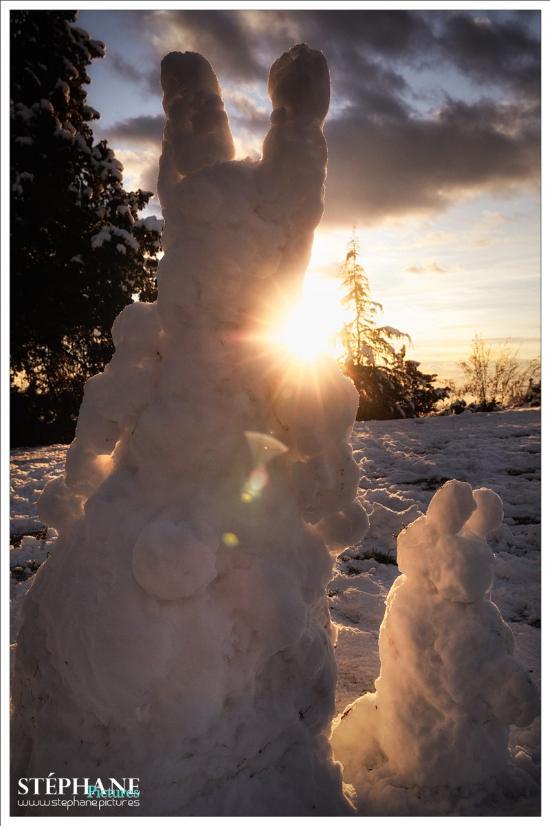 Zwei Schneehasen, deren letzte Stunden geschlagen haben. Die Sonne geht auf.